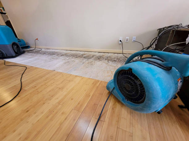 Professional Water Damage Repair technician working in Saint Joseph, TN